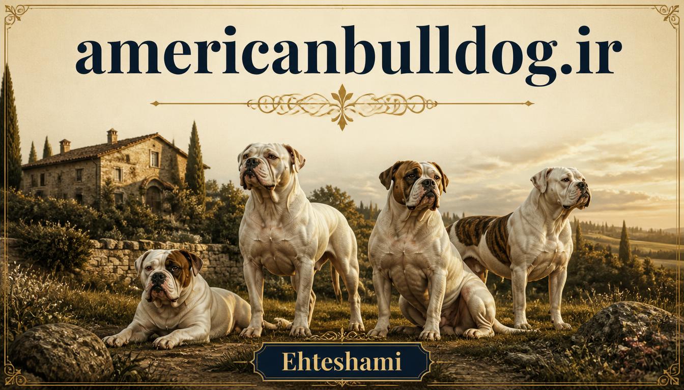 americanbulldog.ir